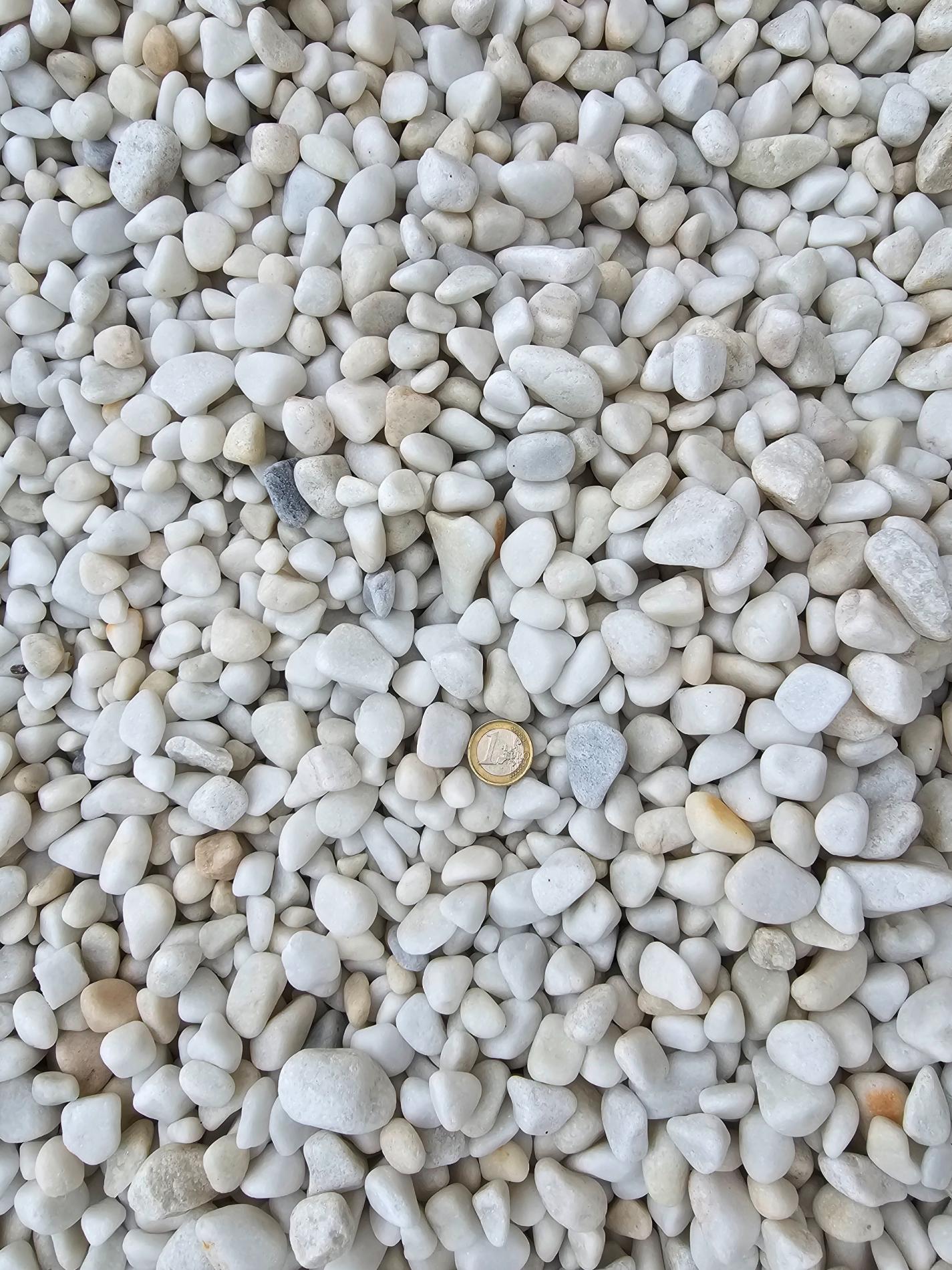 Galet marbre blanc 12/24