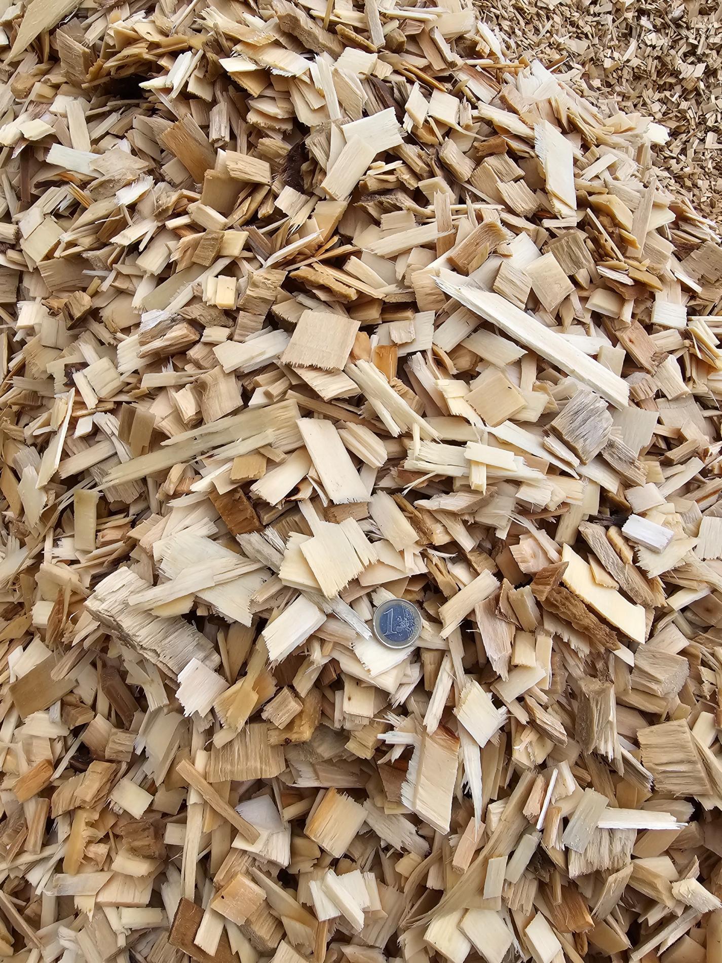 Plaquettes de peupliers